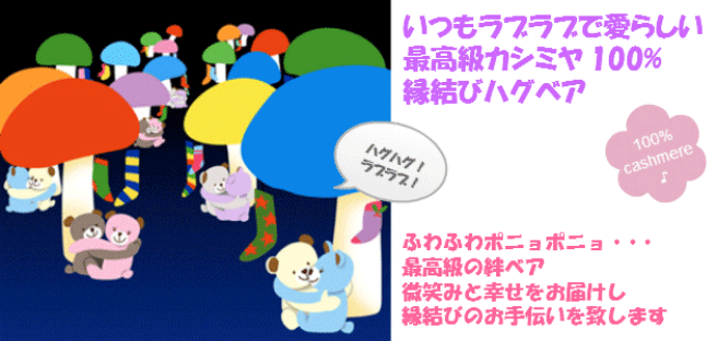 カシミヤのハグベア