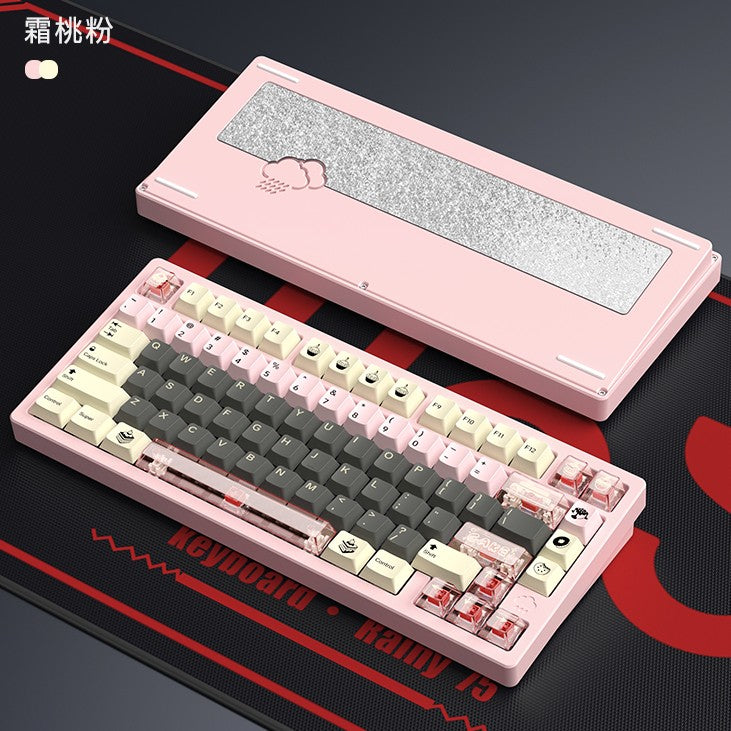 Rainy 75 RT Aluminum Magnetic HE Gaming Keyboard – Nouvolo