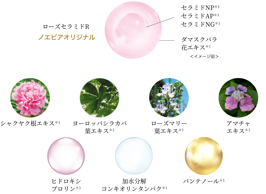 ノエビア最高峰シリーズ「スペチアーレ」の新メイクアップアイテム