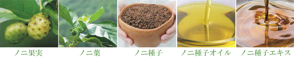 テマナ｜タヒチアンノニジュース通販店 - ノニファミリー