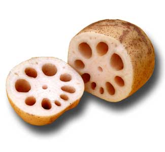 レンコン | 株式会社ノースイ