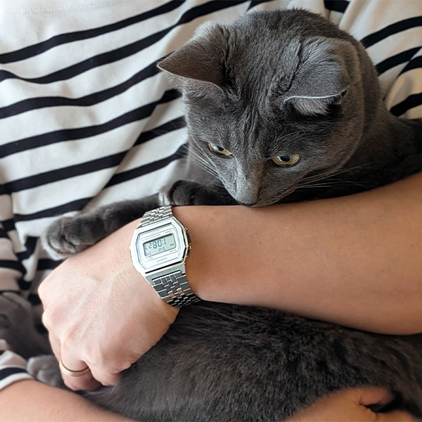 ゲ*認様 カシオ クラシック プレミアムシリーズA1000A-7JF／カシオ（C