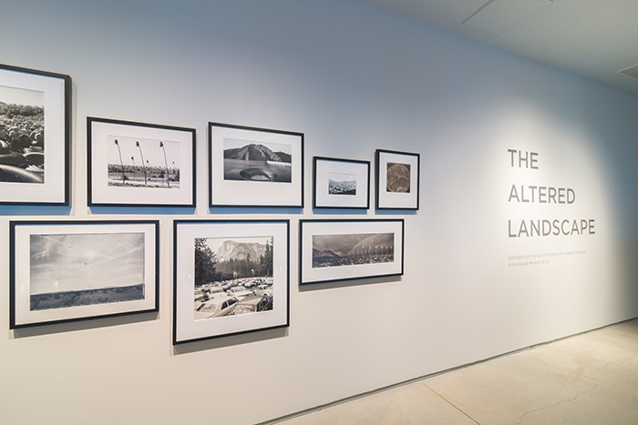 The Altered Landscape: Selections from the Carol Franc Buck