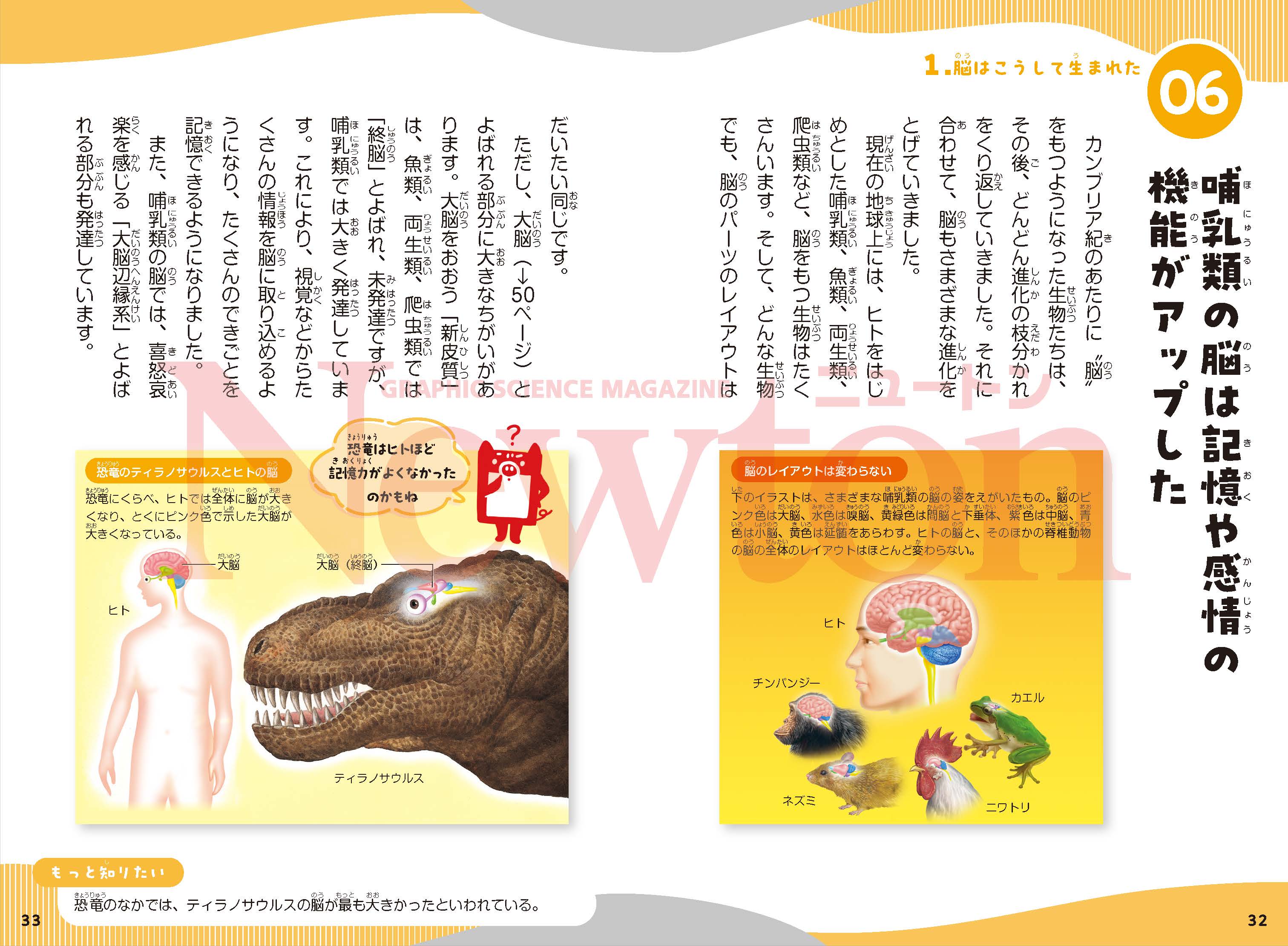 ニュートン科学の学校シリーズ 脳の学校 | ニュートンプレス