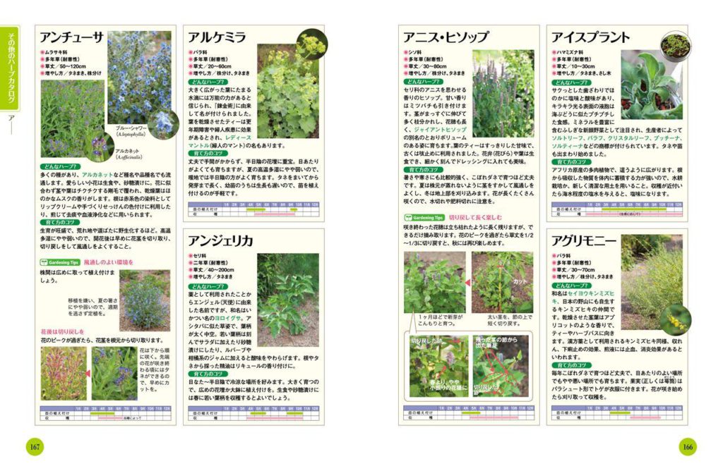 はじめてのハーブ 手入れと育て方 | ナツメ社