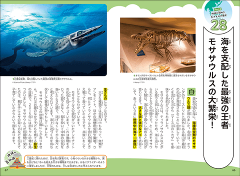 地球には46億年のふしぎがいっぱい！空と大地と海のミステリー | ナツメ社