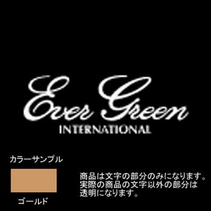 エバーグリーン(EVERGREEN) エバーグリーンボートディカルステッカー