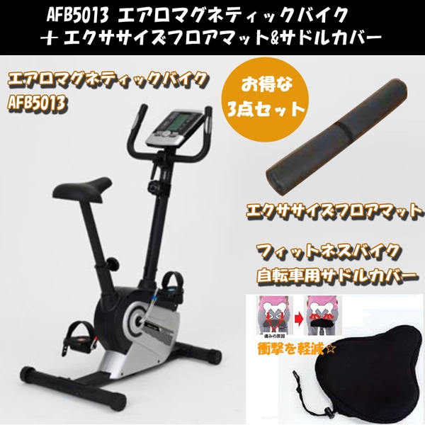 アルインコ(ALINCO) AFB5013 エアロマグネティックバイク+フロアマット