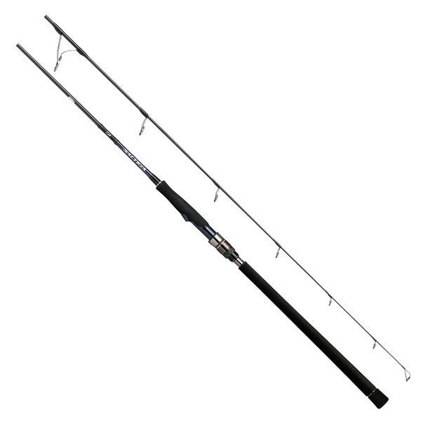 ダイワ(Daiwa) ソルティガ R J62S-2 LO 05804084｜アウトドア用品