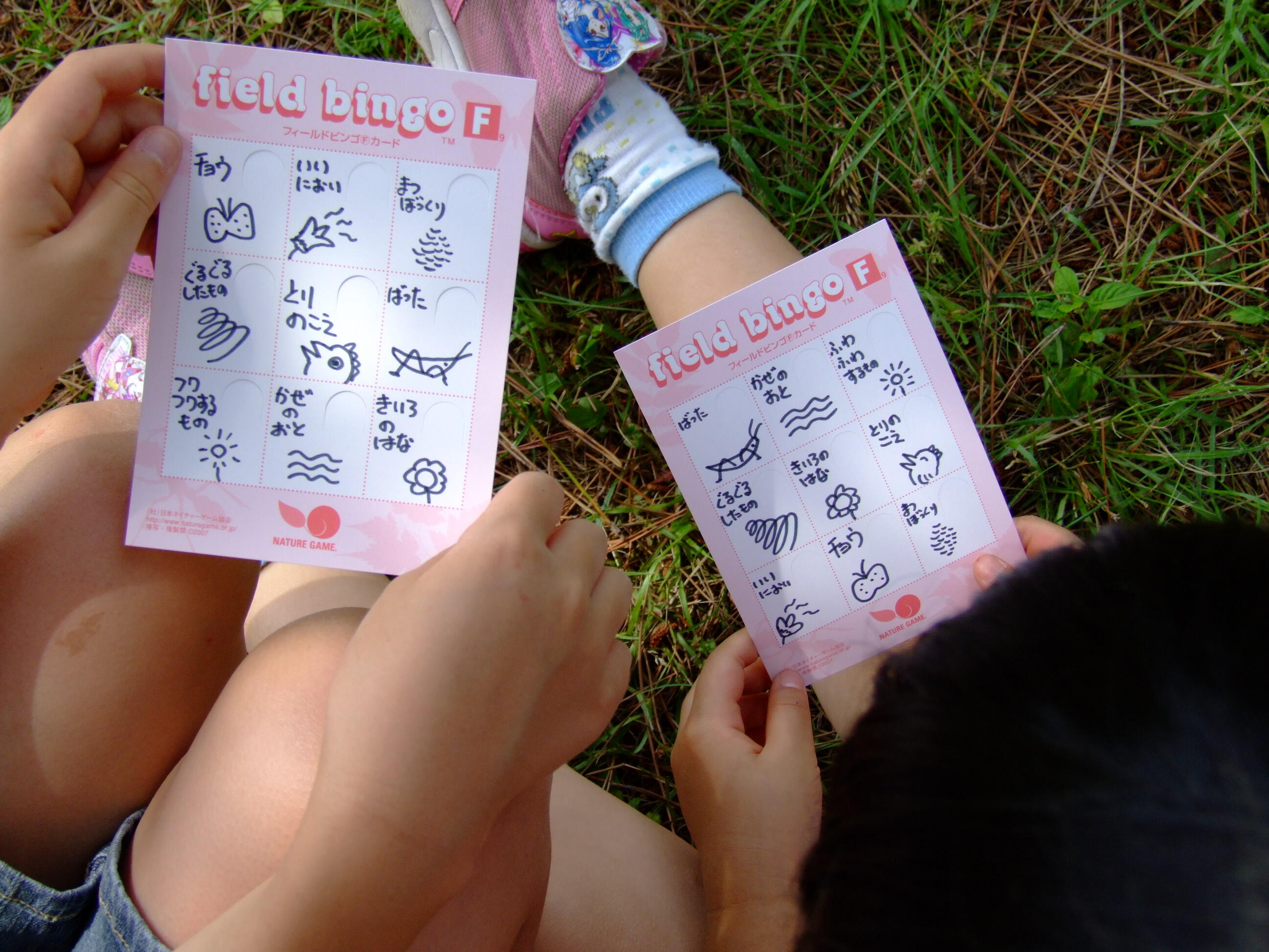日本で一番有名なネイチャーゲーム 〈フィールドビンゴ〉 楽しみ方と