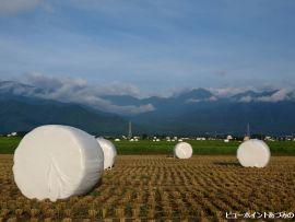 夏の田園風景｜ビューポイントあづみの