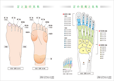 JNAオフィシャル教材 | NPO法人 日本ネイリスト協会