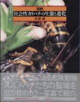 日本産アリ類全種図鑑、Ants of Japan、図説社会性カリバチの生態と