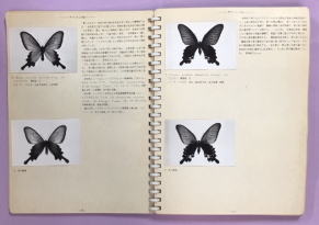 蝶類異常型写真集