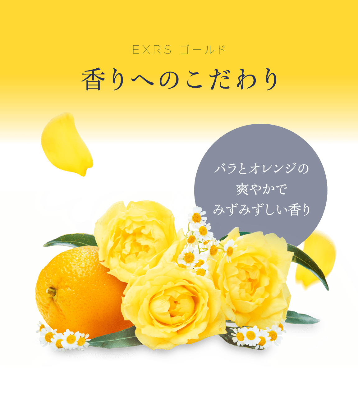 マジェスタ クリーム EXRS ゴールド | 黄金のバラ香る | NARIS ONLINE