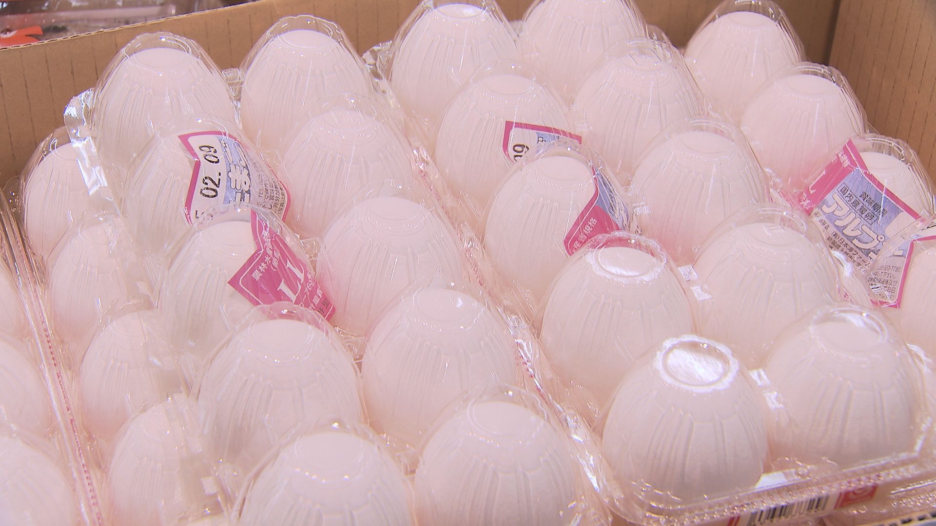 卵1パック339円…“価格の優等生”が鳥インフルで高騰 「エッグショック