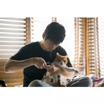 ブランケット・キャッツ DVD-BOX 全4枚｜国内ドラマ｜DVD