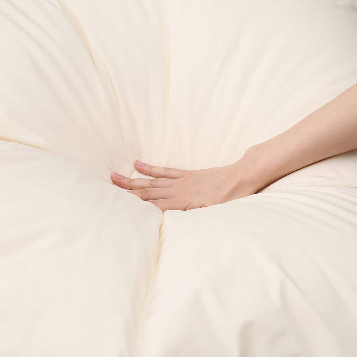 日本製】ホワイトダックダウン90%+50% 羽毛布団 2枚合わせ (ムーン