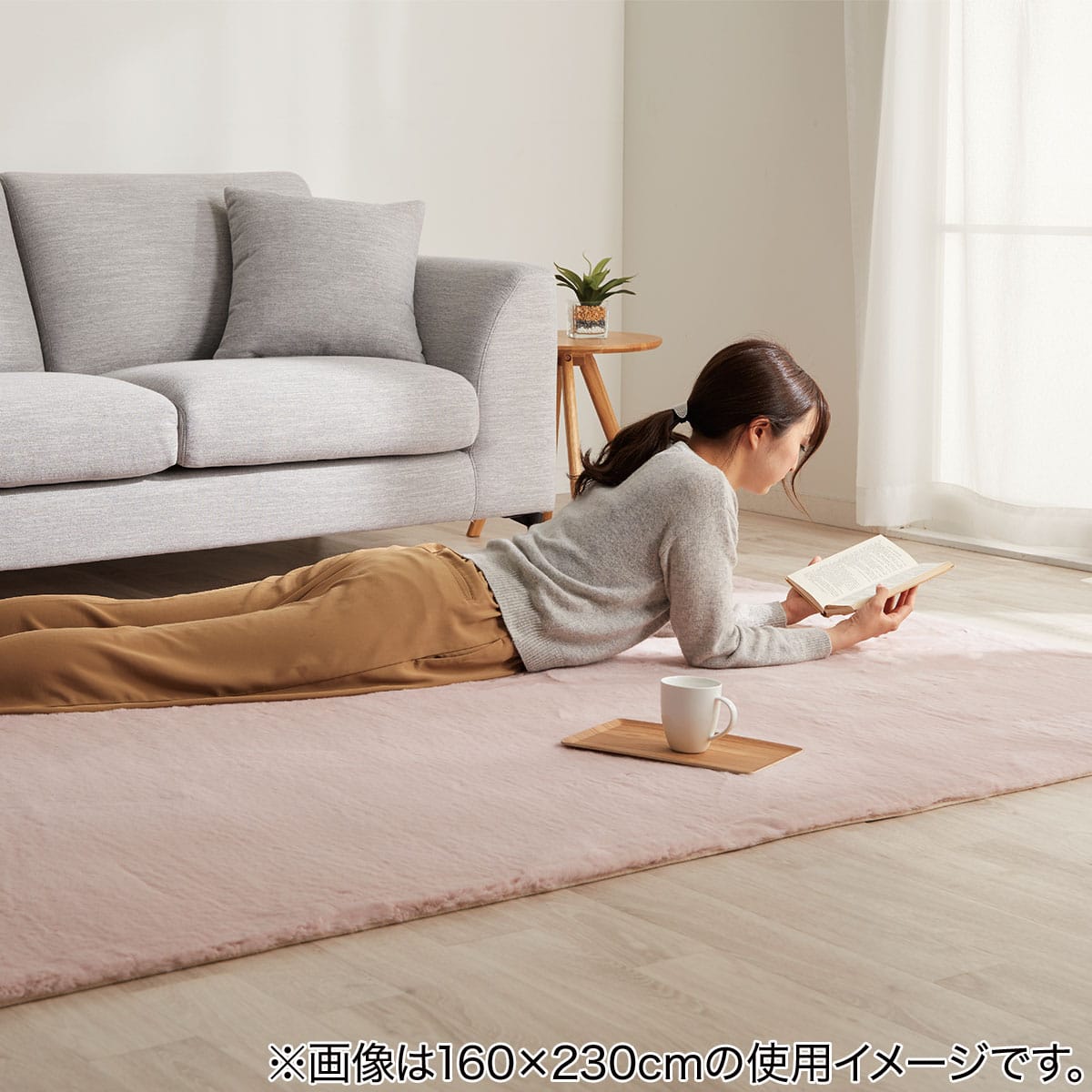 アクセントラグ(ウサギラグ3 140X200 RO US04) | ニトリネット【公式