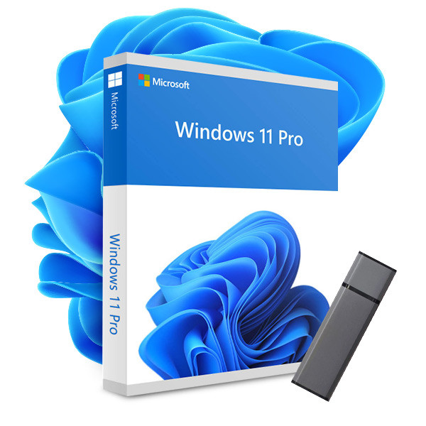 Original Microsoft Windows 11 Professional (PRO) with installation