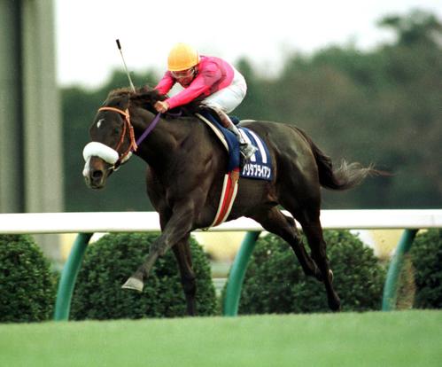 有馬記念】“シャドーロールの怪物”ナリタブライアン 主戦騎手・南井