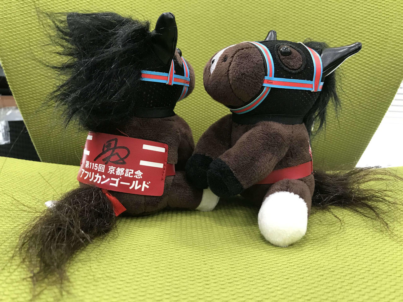 アフリカンゴールドの小型版ぬいぐるみプレゼント 2・11のニッカン