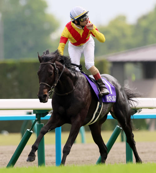 ジャスティンパレス ゼッケン 実使用 G1 馬 ジャスティンパレス