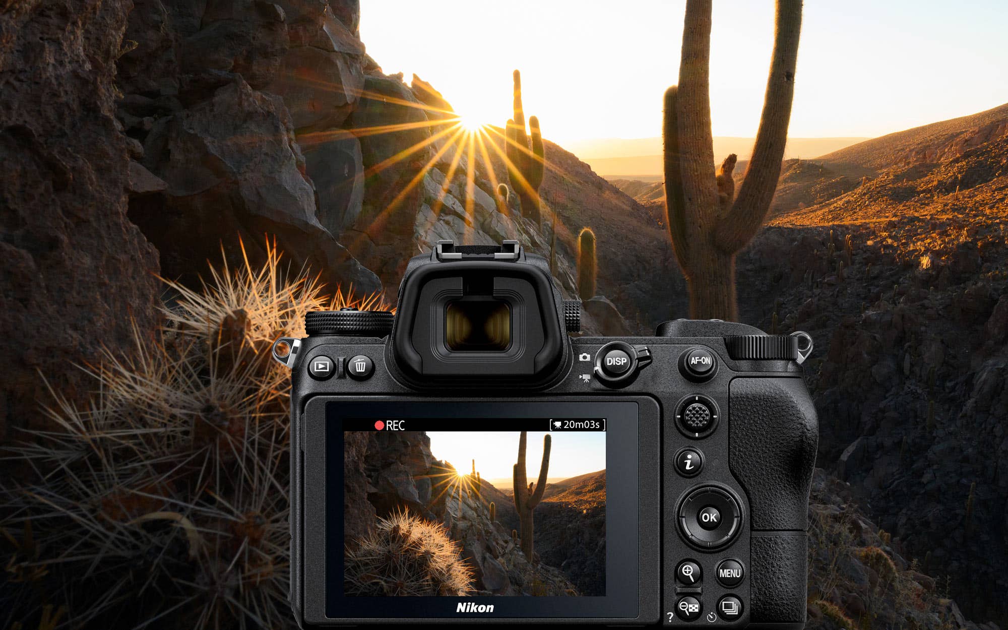 NIKKOR Z 20mm f/1.8 S | Nikon Asia