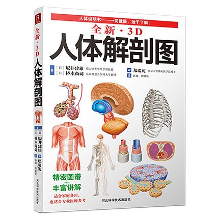 全新3D人体解剖图