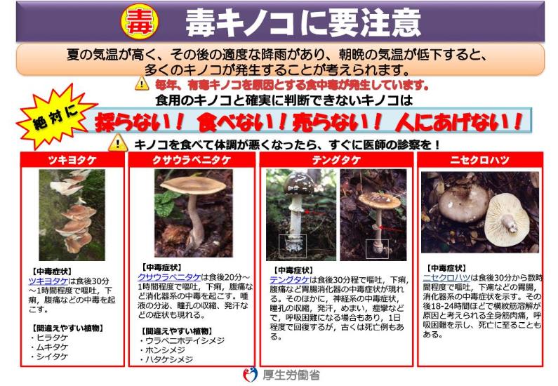 山菜・きのこ等の採取は十分注意してください｜西宮市ホームページ