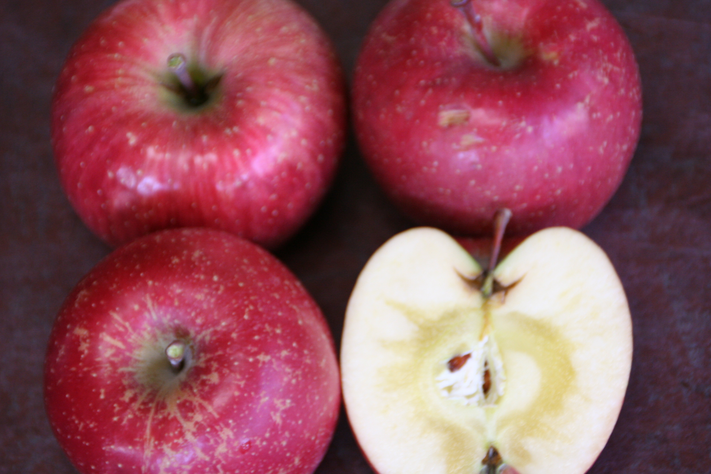 12月のりんご 青森りんごの通販・お取り寄せ・販売なら西村りんご園