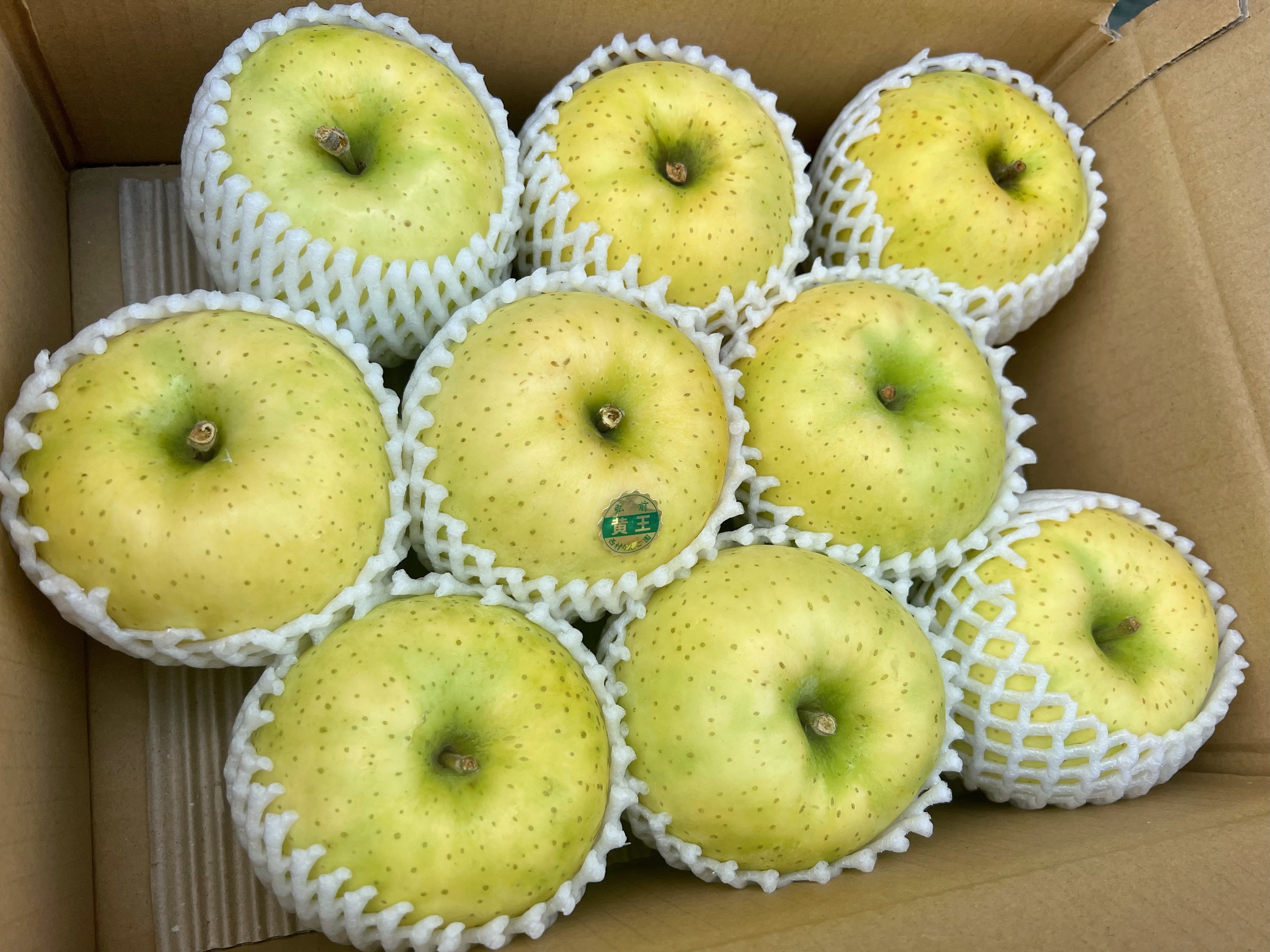 北国の風土と自然が育てた青森りんごの通販なら｜西村りんご園