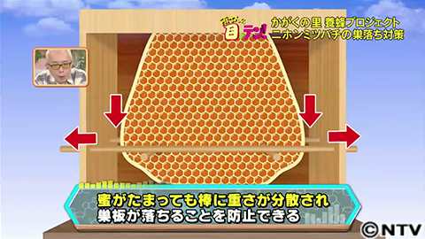 放送内容｜所さんの目がテン！｜日本テレビ