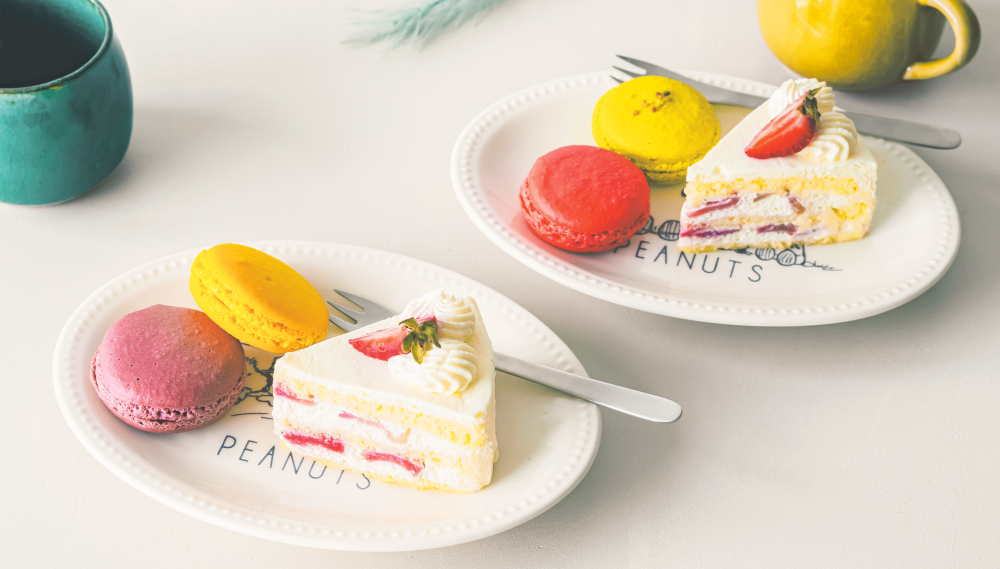 cookpad plus』冬号付録に【磁器のオーバル皿 豪華2枚セット】が登場