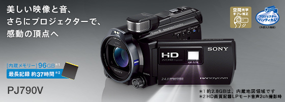 SONY HDR-PJ790V ビデオカメラ 96GBバッテリー充電器がない SONY