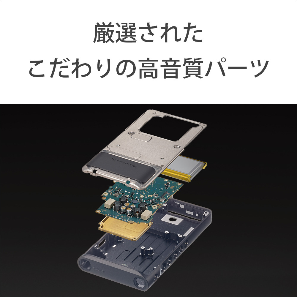 NW-WM1AM2 購入 | ポータブルオーディオプレーヤー ウォークマン | ソニー