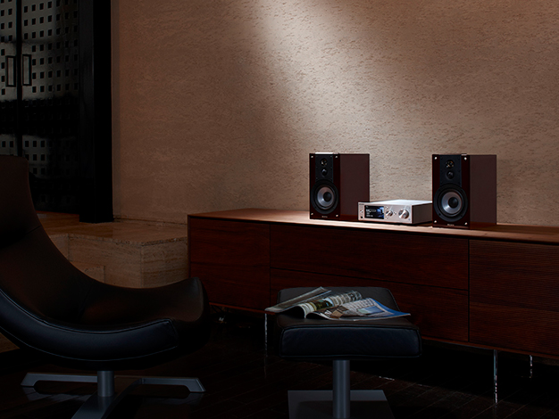 SS-HW1 | システムステレオ | ソニー