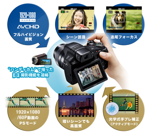 DSC-HX100V 特長 : フルハイビジョン動画撮影 | デジタルスチルカメラ