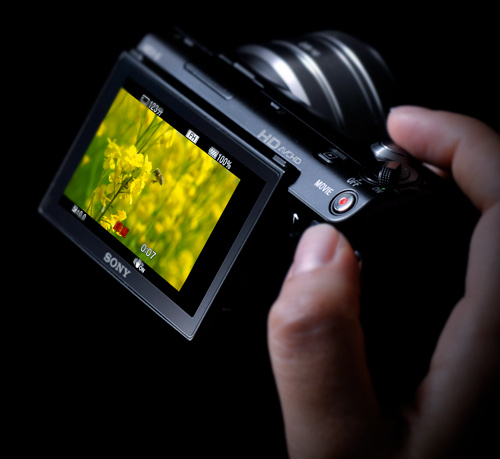 NEX-5D 特長 : フルハイビジョン動画 | デジタル一眼カメラα（アルファ