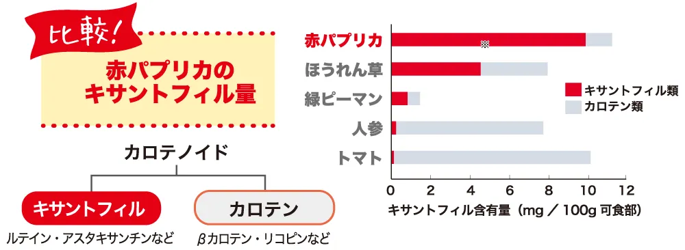 shirocal (シロカル) ｜キサントフィル配合飲む日焼け止めサプリメント