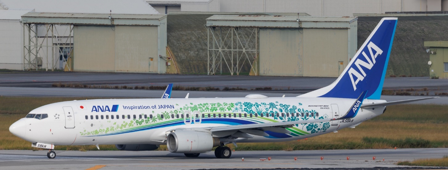 エ*ズ様 AeroPolaris ANA WINGS B737-800 JA68 エ*ズ様 AeroPolaris
