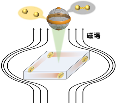 鉄系超伝導体における「第4の超伝導状態」の特異な超伝導特性とその