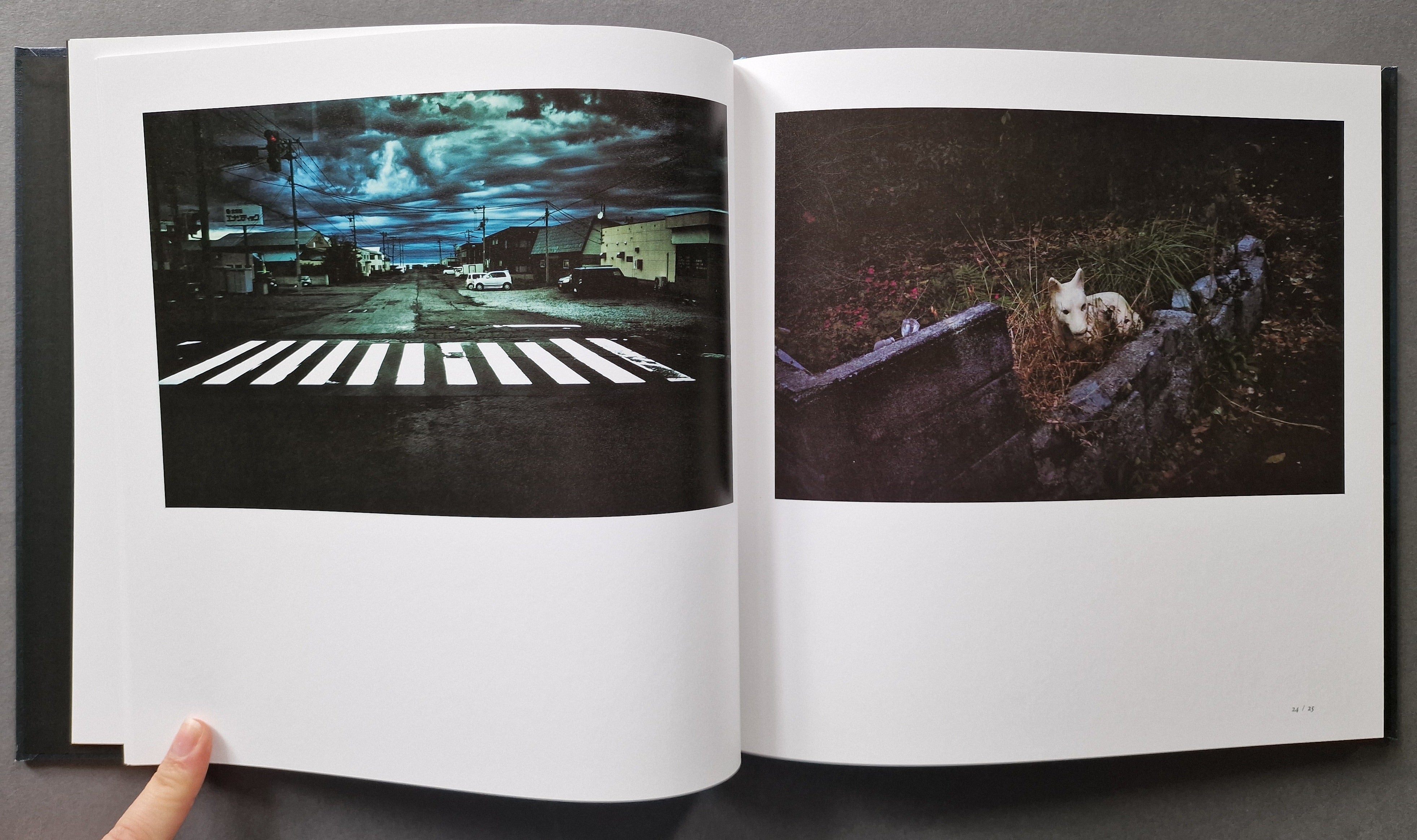 Buy Into the Silence by Yasuhiro Ogawa Online – Setanta Books