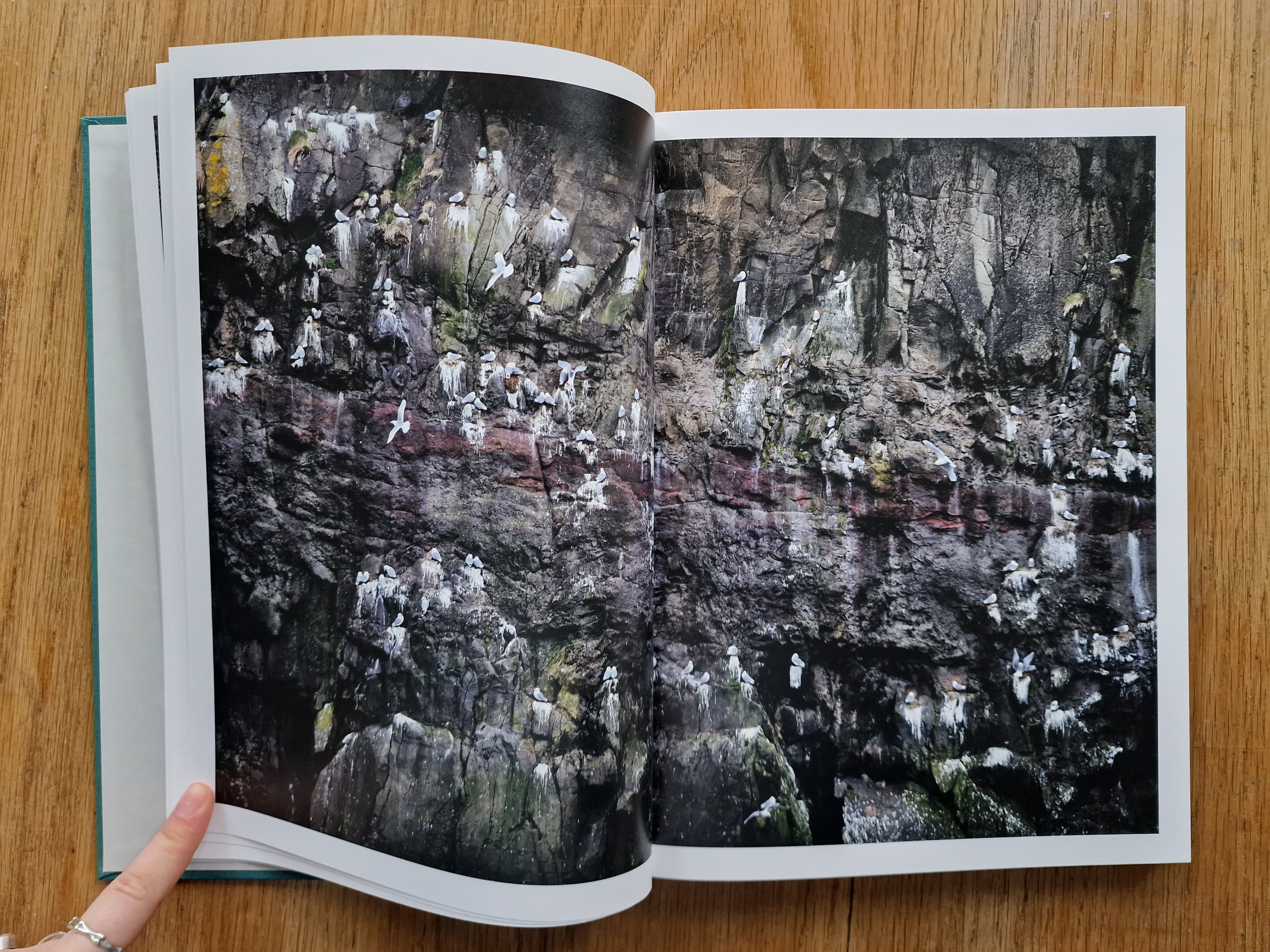 Buy Atlantic Cowboy by Andrea Gjestvang Online – Setanta Books