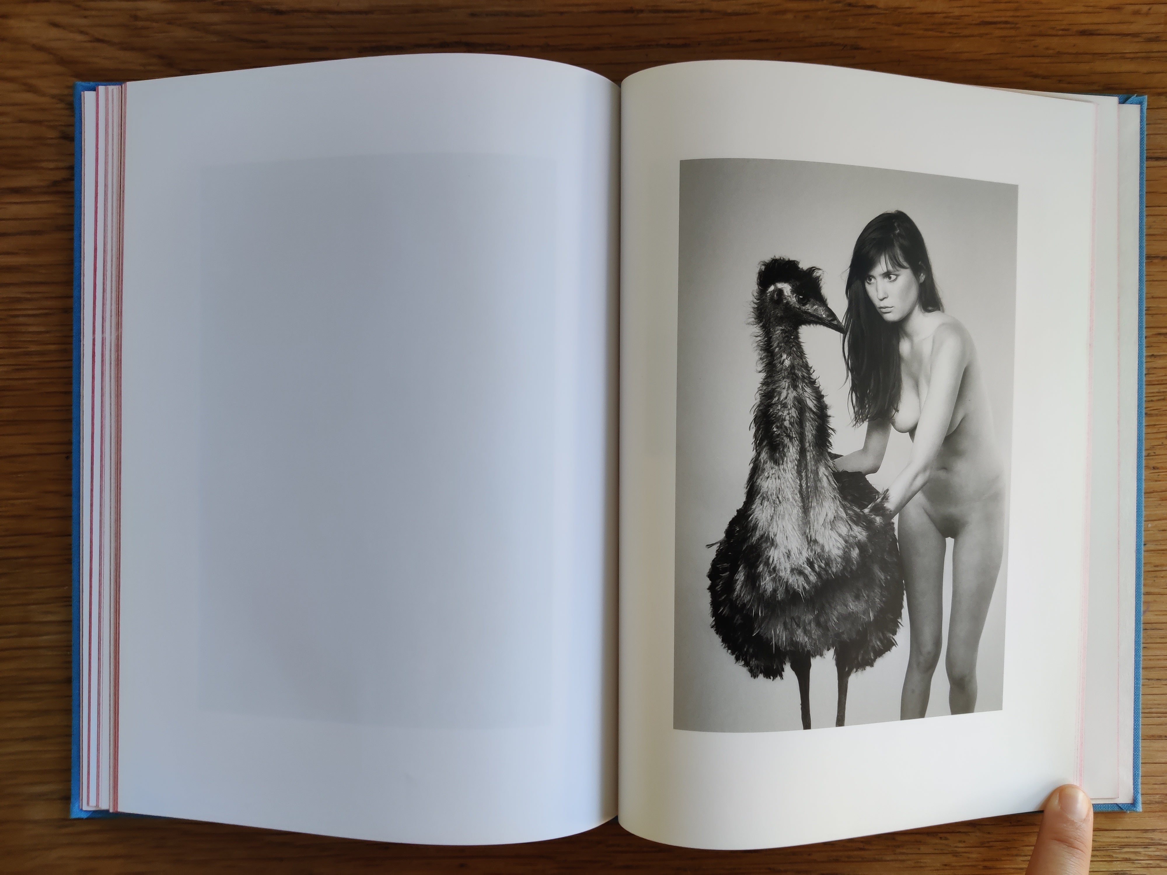 Buy Life Adjustment Center by Ryan McGinley Online – Setanta Books