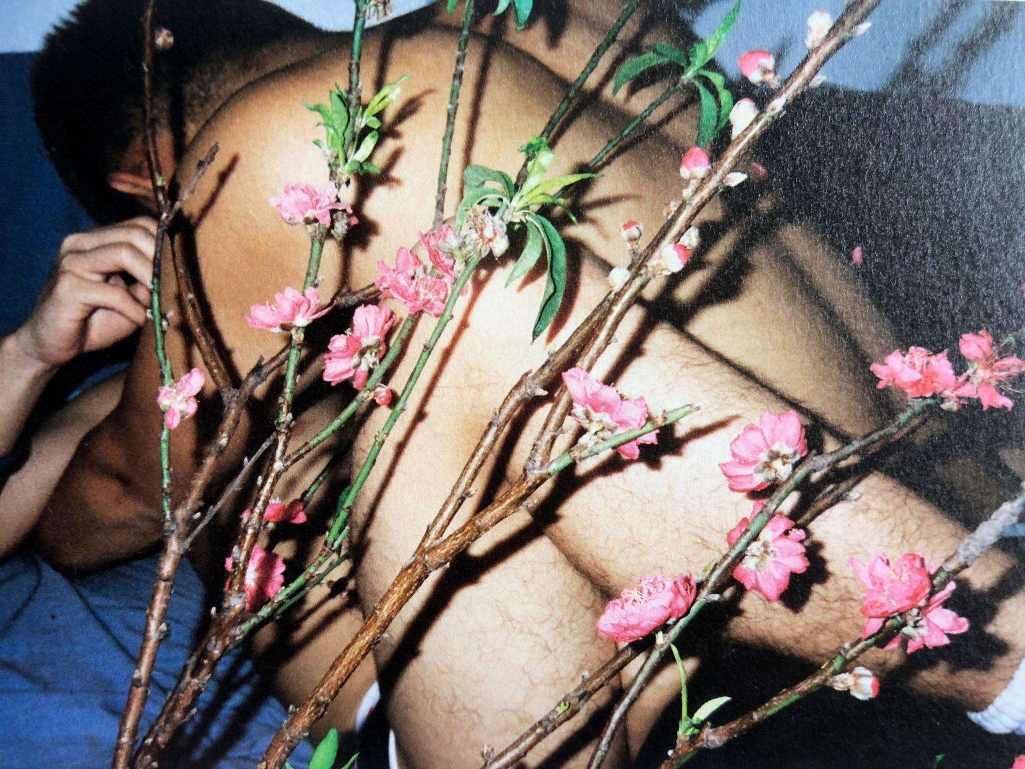 アート・デザイン・音楽 Lin zhipeng Flower and Fruits アート