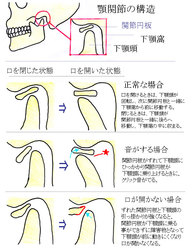 顎関節症 | 「北九州小倉南の整体」医療関係者も通う北九州整体院