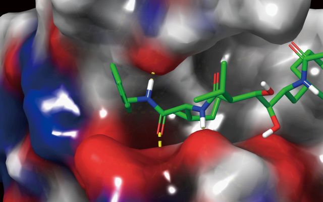 摂南大学薬学部公式HP/Setsunan Pharm Official