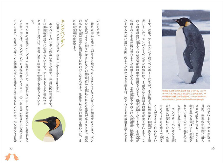 ペンギンの不思議 | 株式会社誠文堂新光社