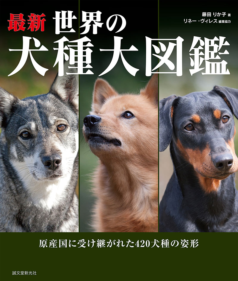ブラックフライデー！週末値下げ 360°ビジュアル犬種大図鑑 : Amazon